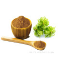 Tribulus terrestris Extract Capsule